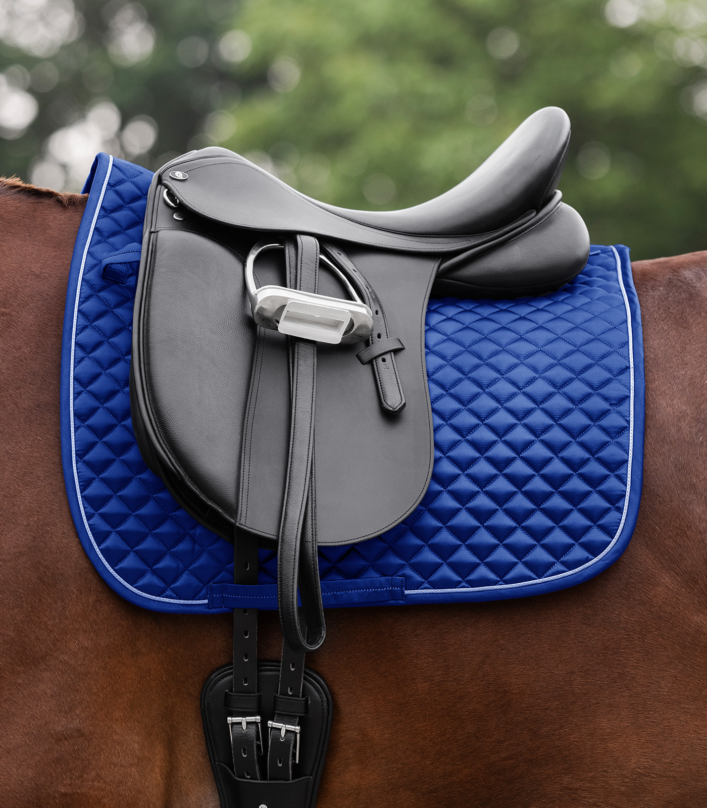 Schabracke Felix Glam