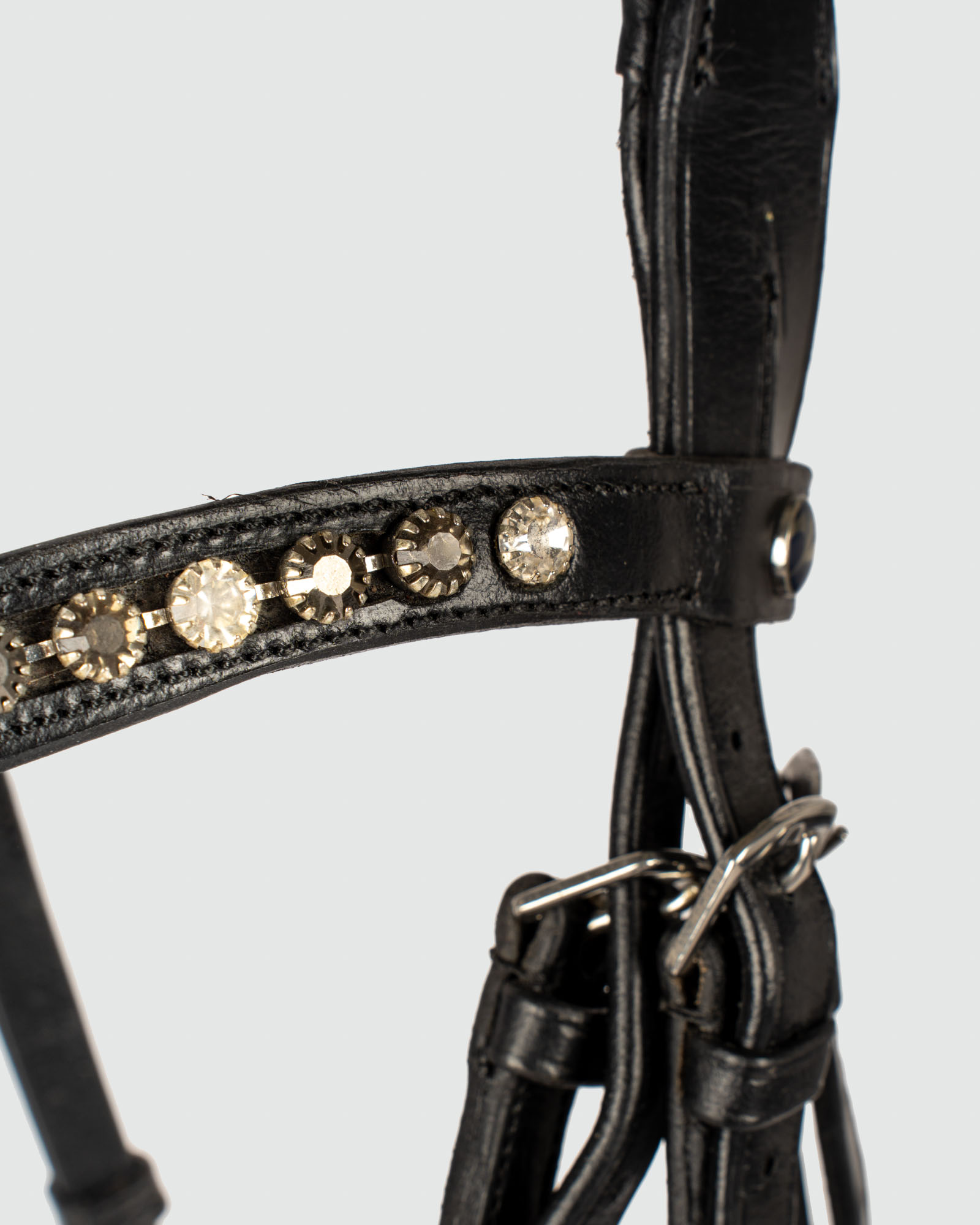 Snaffle Feeling