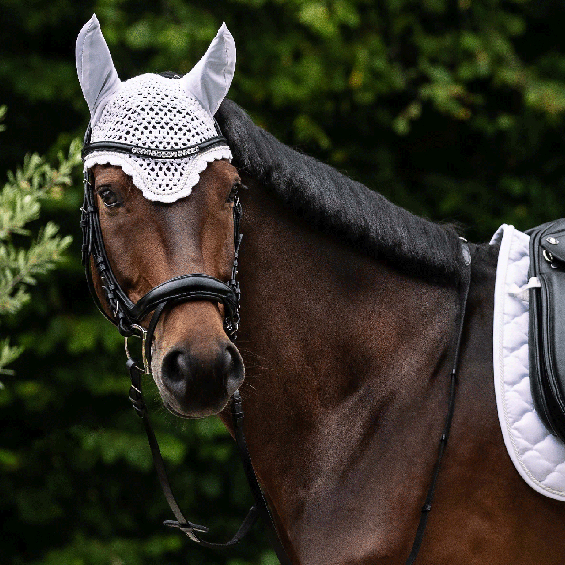 Trensenzaum S-Line Sensation, engl.komb.