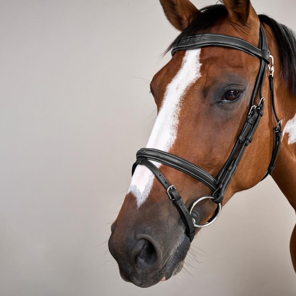 Trense mit kombiniertem Reithalfter und Karabiner WO