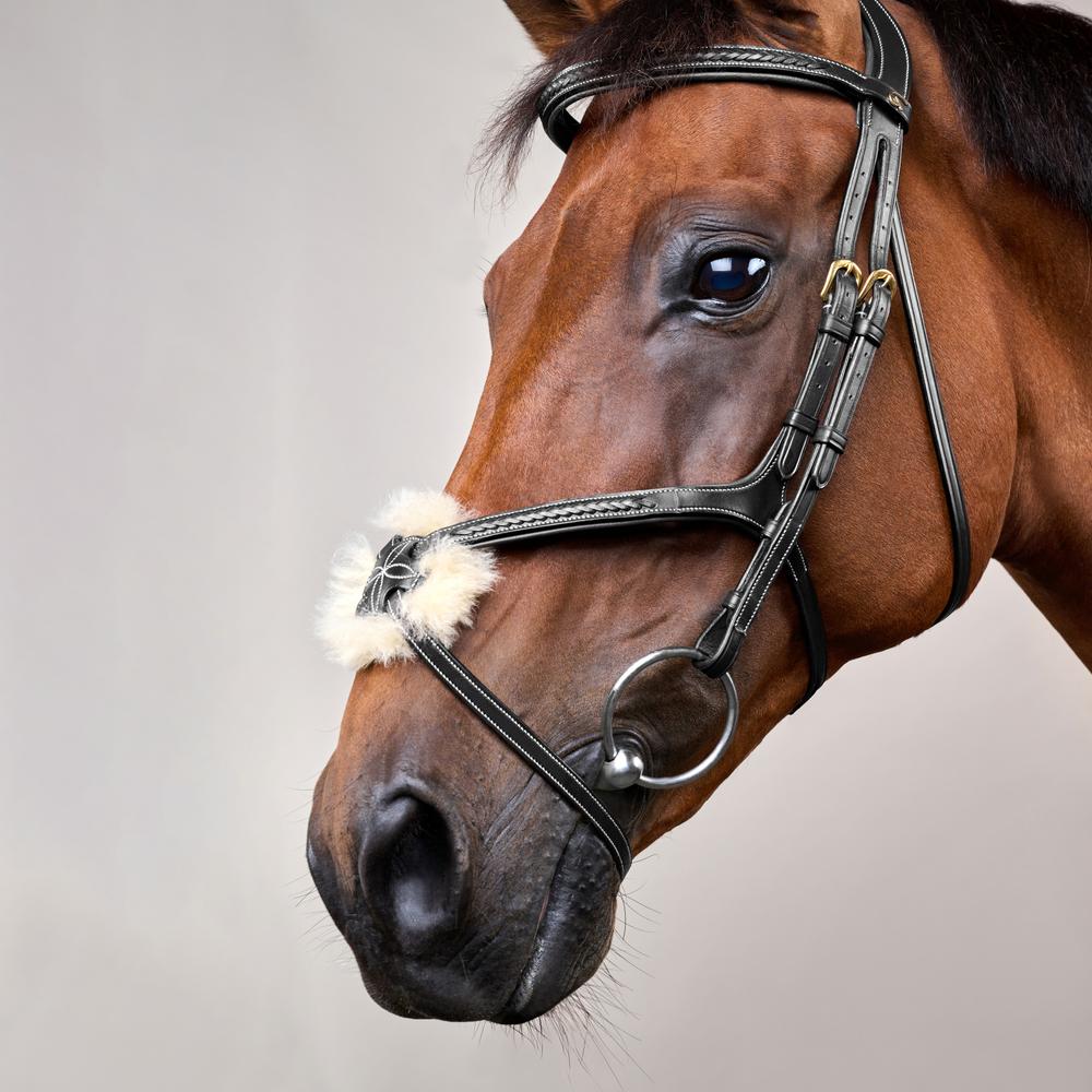 Trense mit geflochtenen mexikanischem Reithalfter DY |
