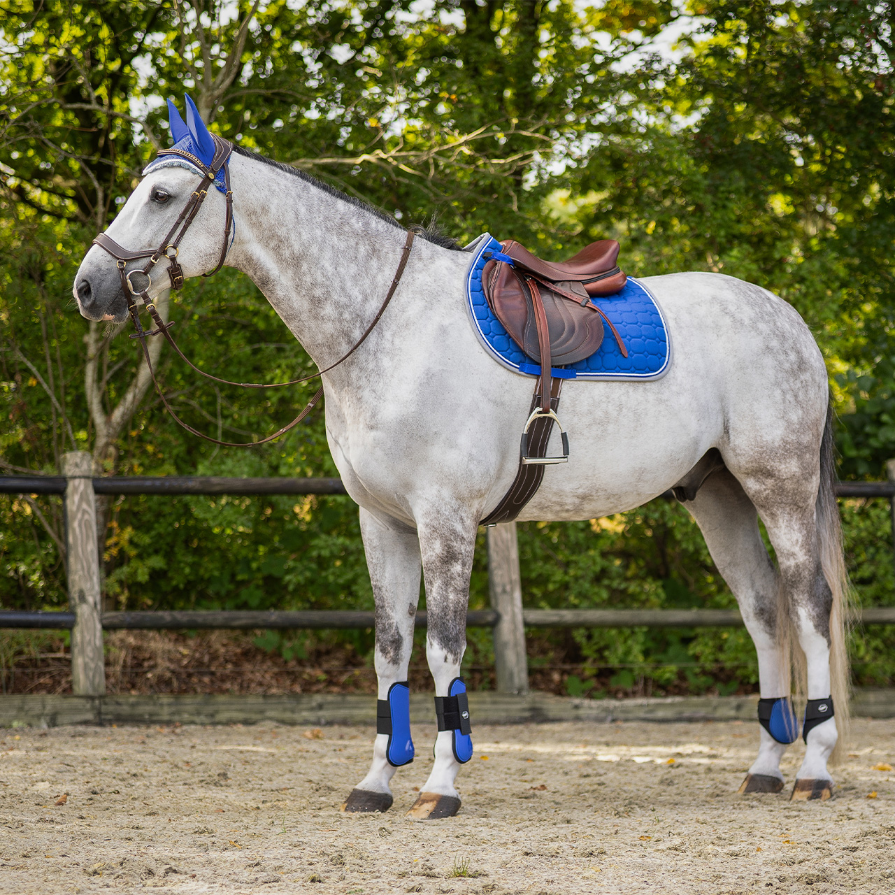 Fetlock caps