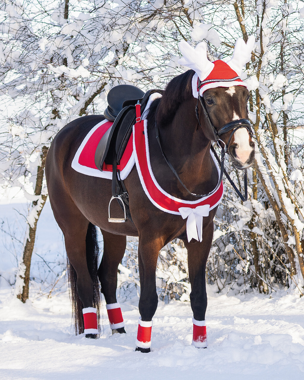 Brustriemen Weihnachten
