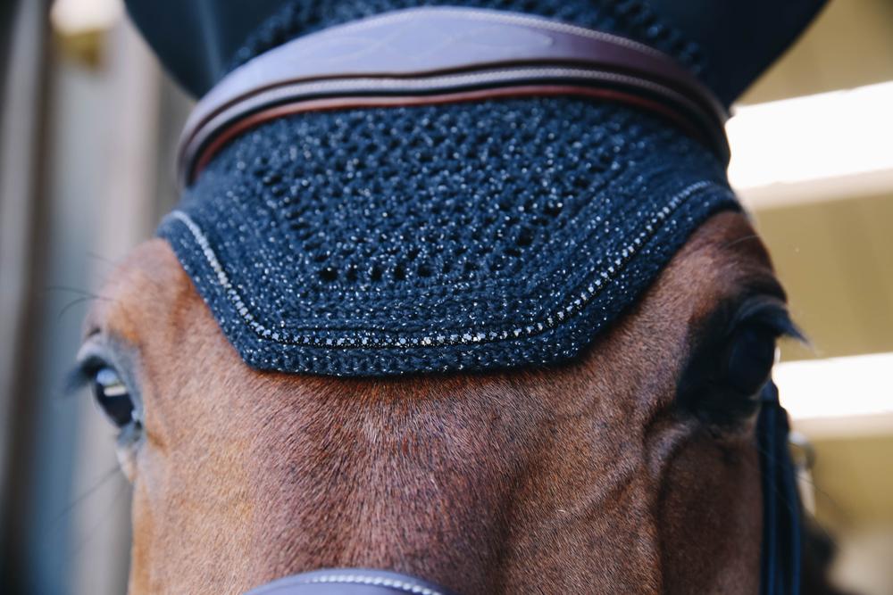 Fliegenhaube Wellington Sparkling