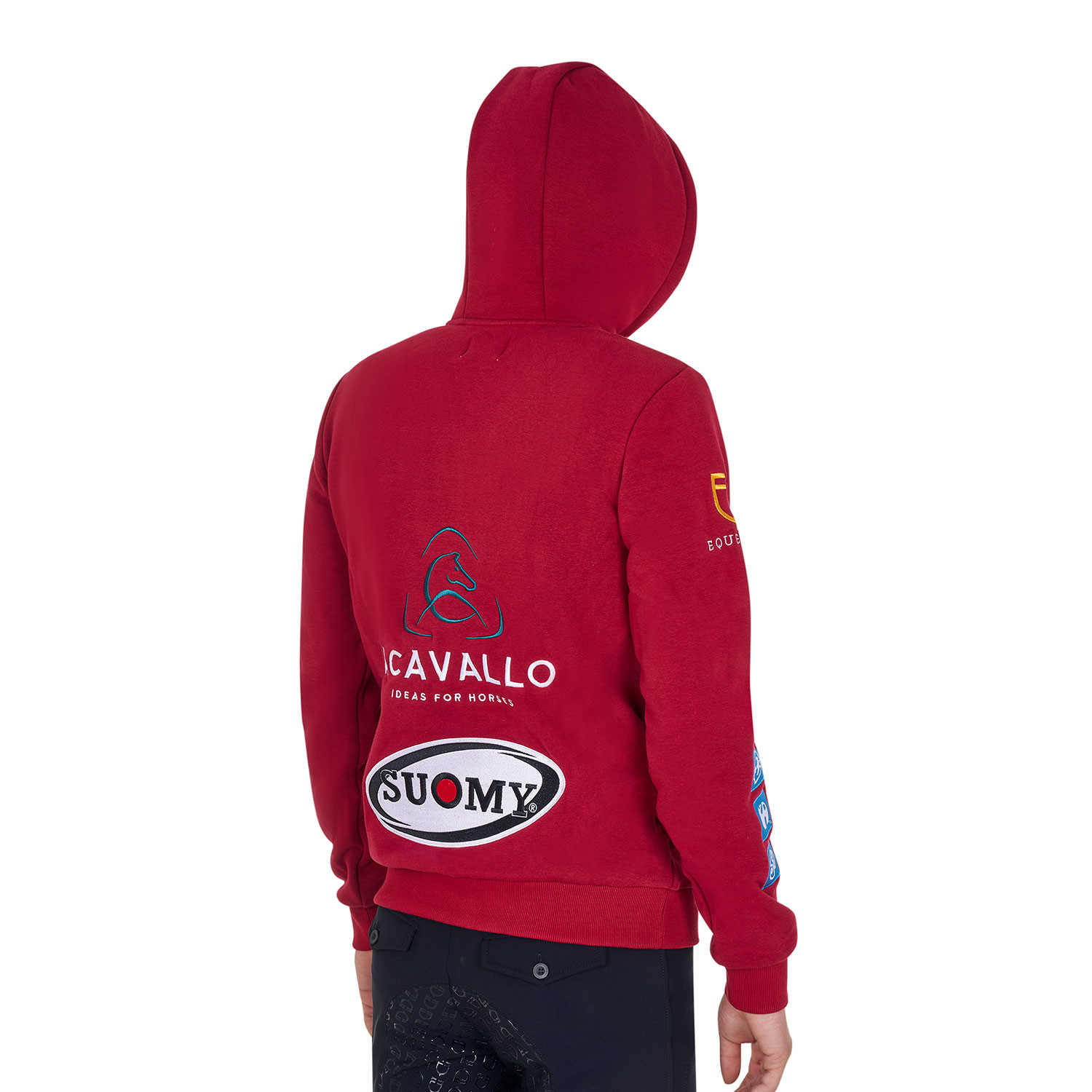 Herren-Sweatshirt mit Kapuze und Multi-Logo