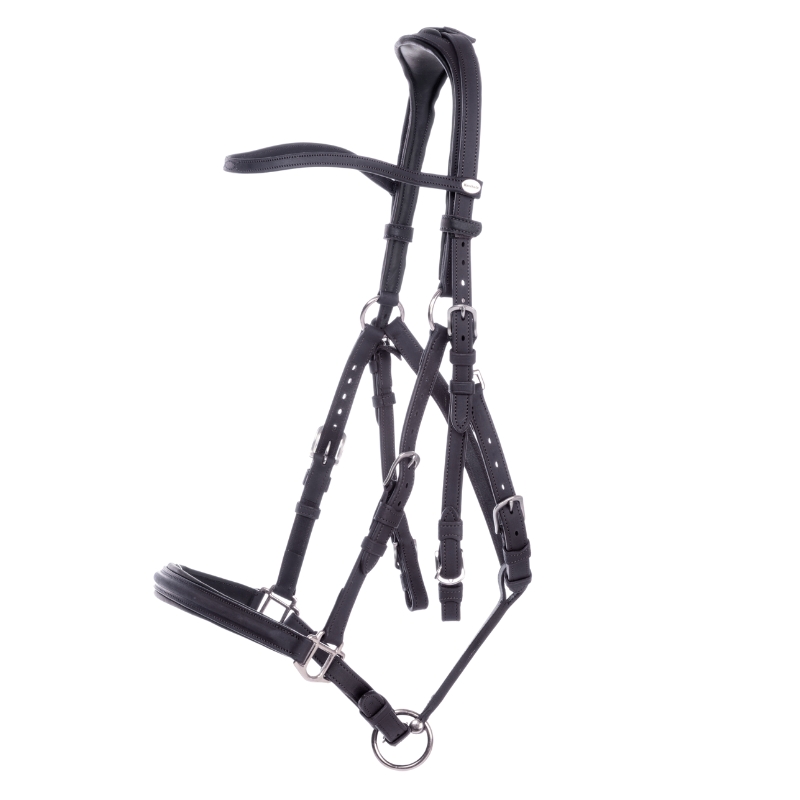 Wanderreittrense "Artemis"