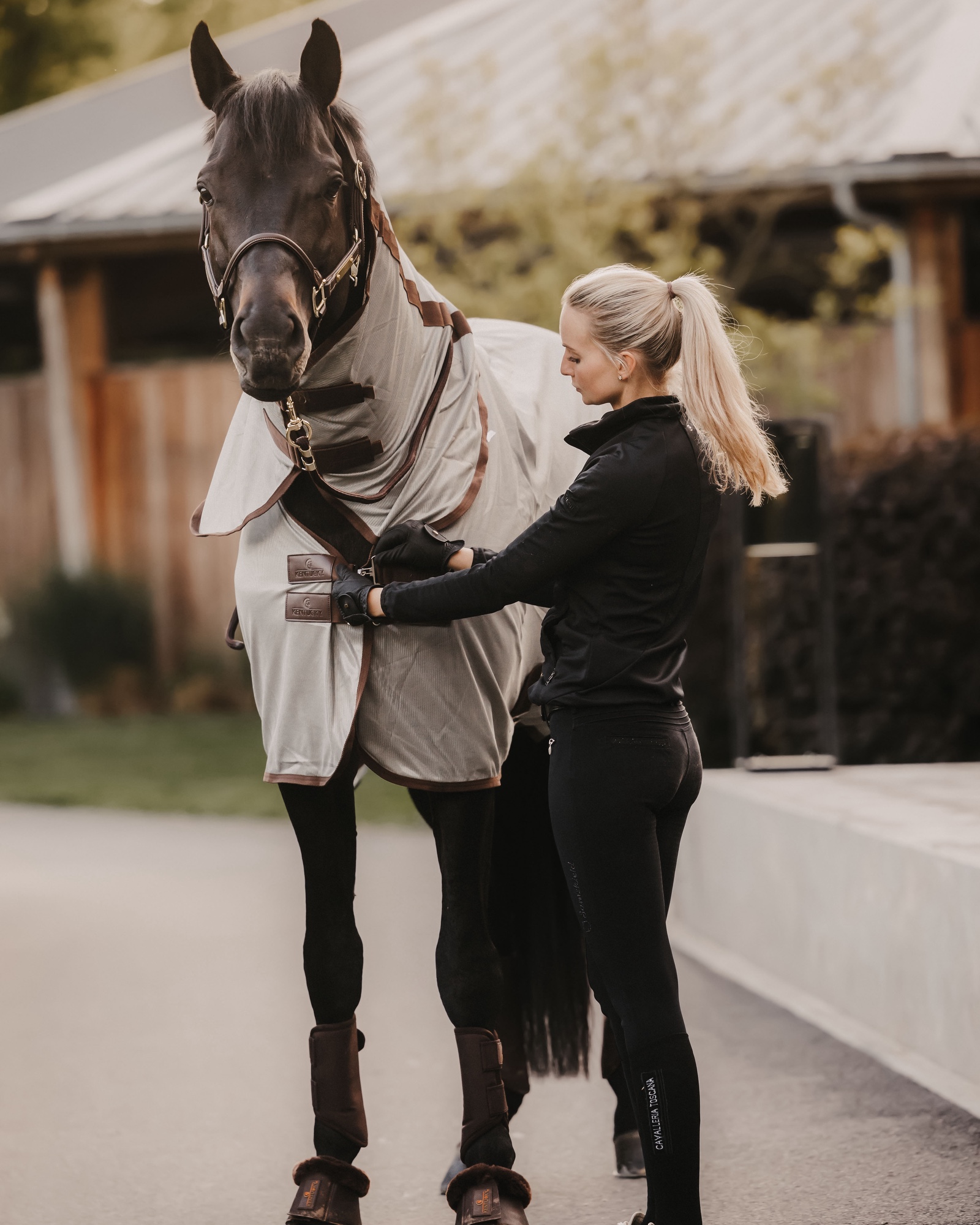 Mesh Classic fly rug