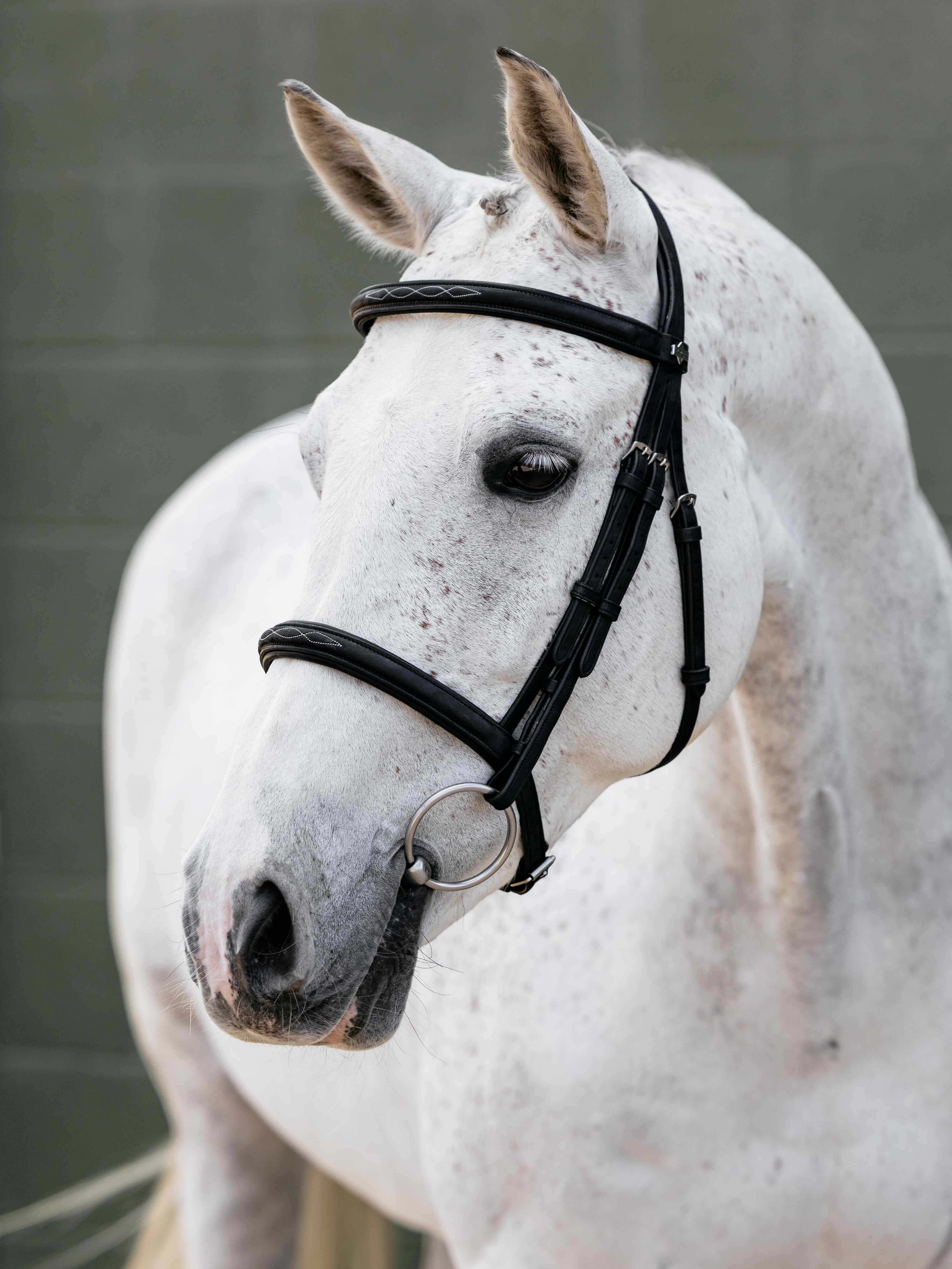 Arika Classique Cavesson Trense