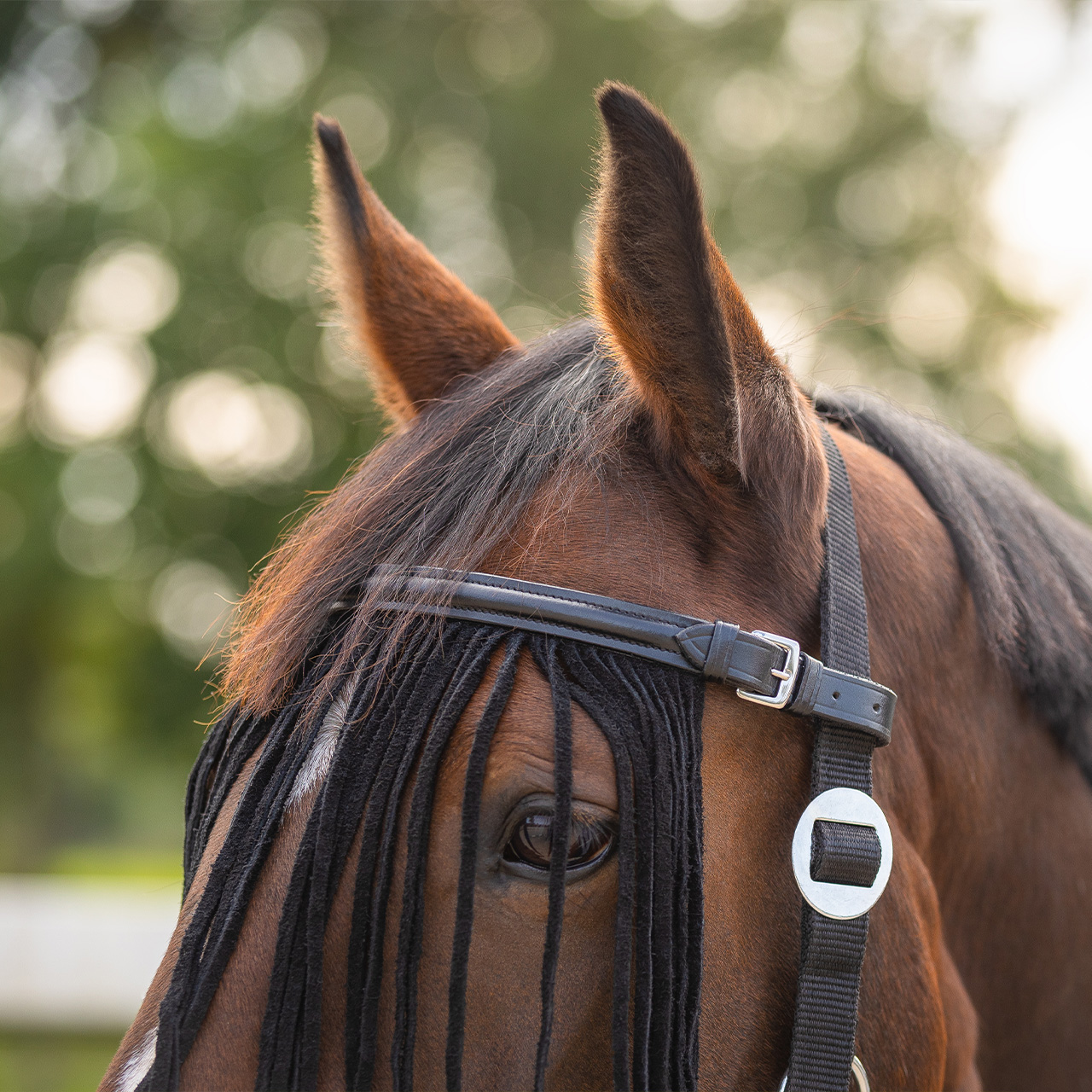 Fly fringes leather