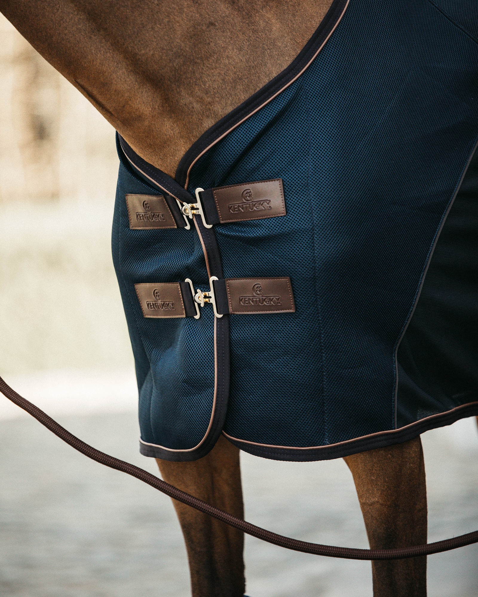 Fly rug fly combi