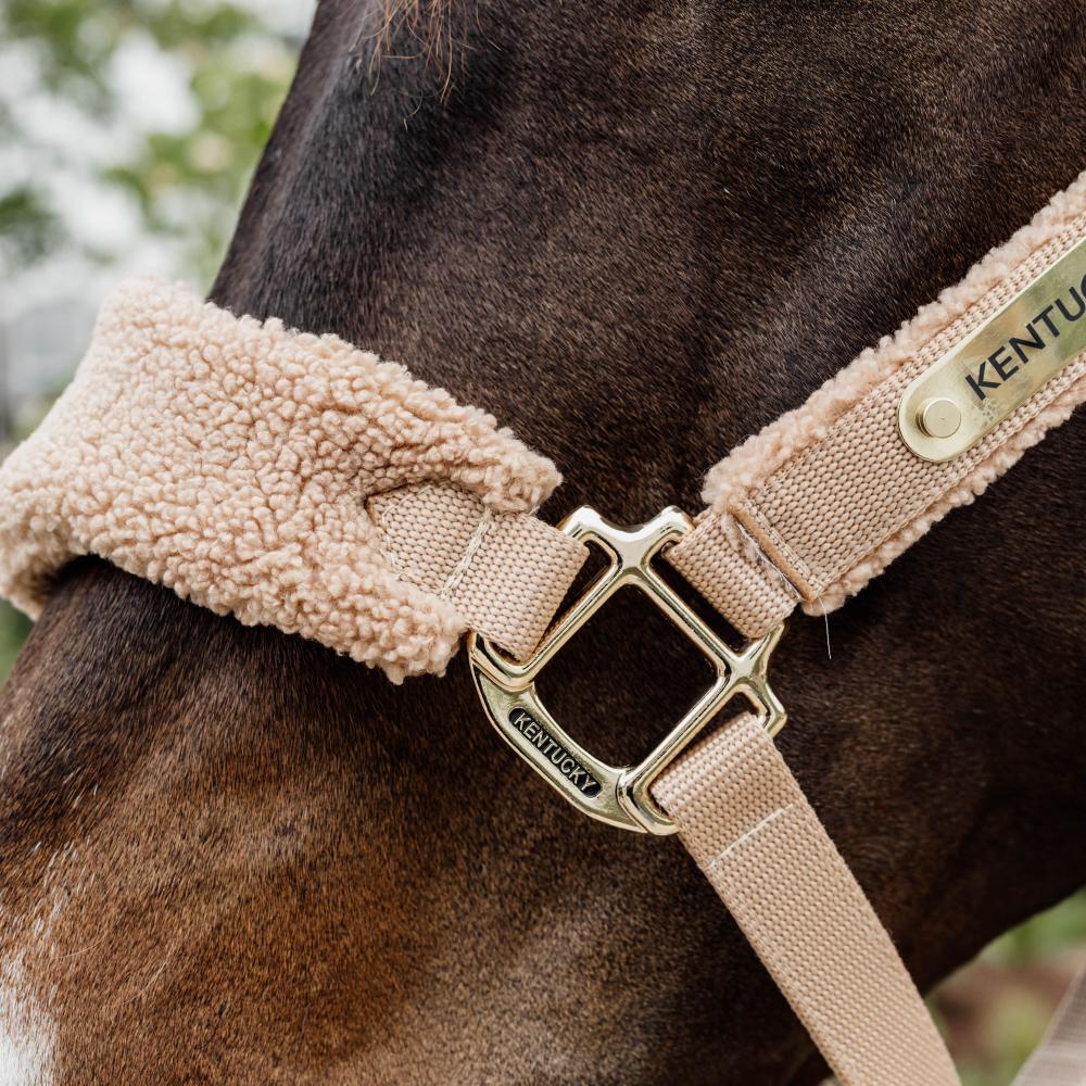 Halter Teddy Fleece