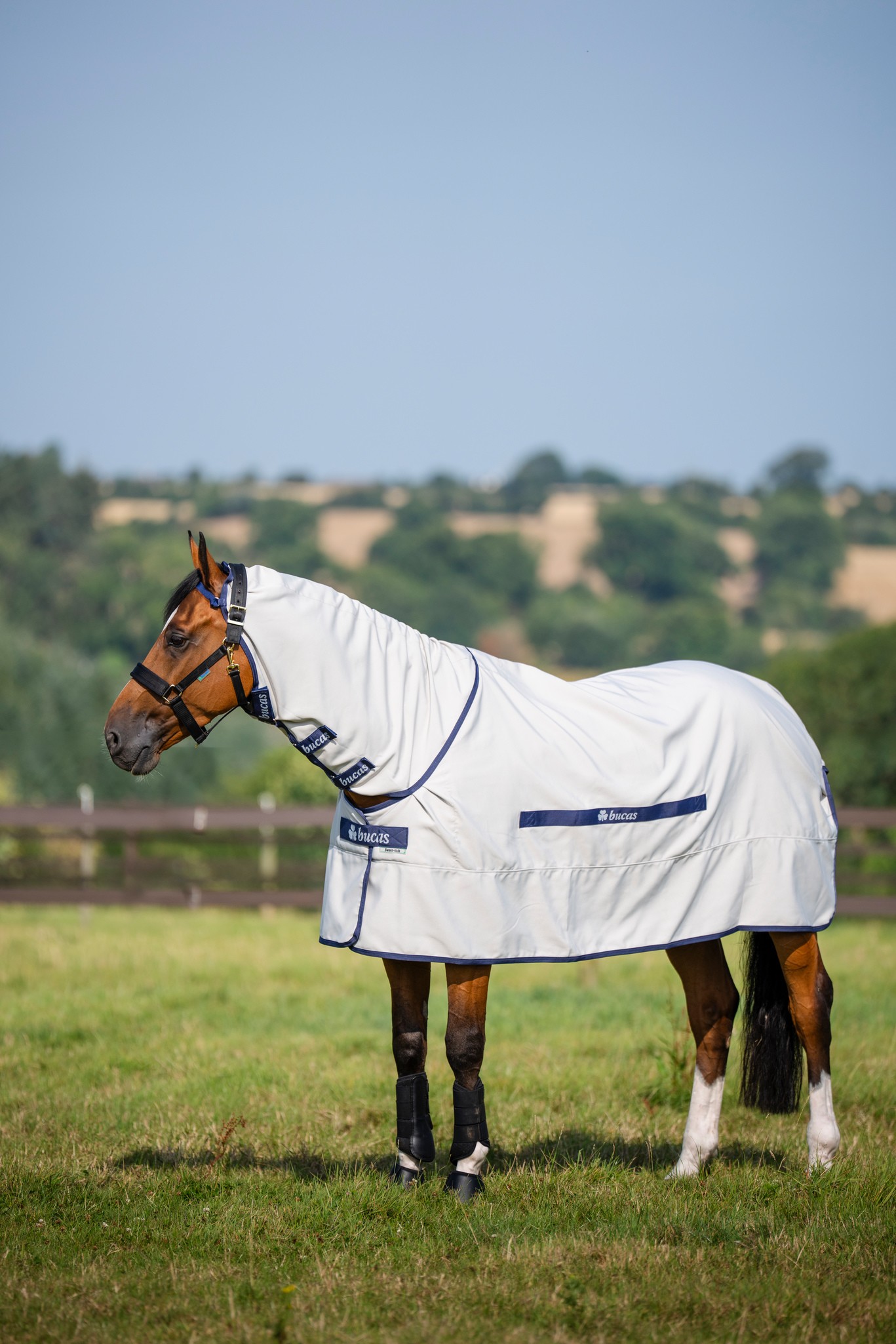 Fliegendecke Sweet Itch Rug in Silver