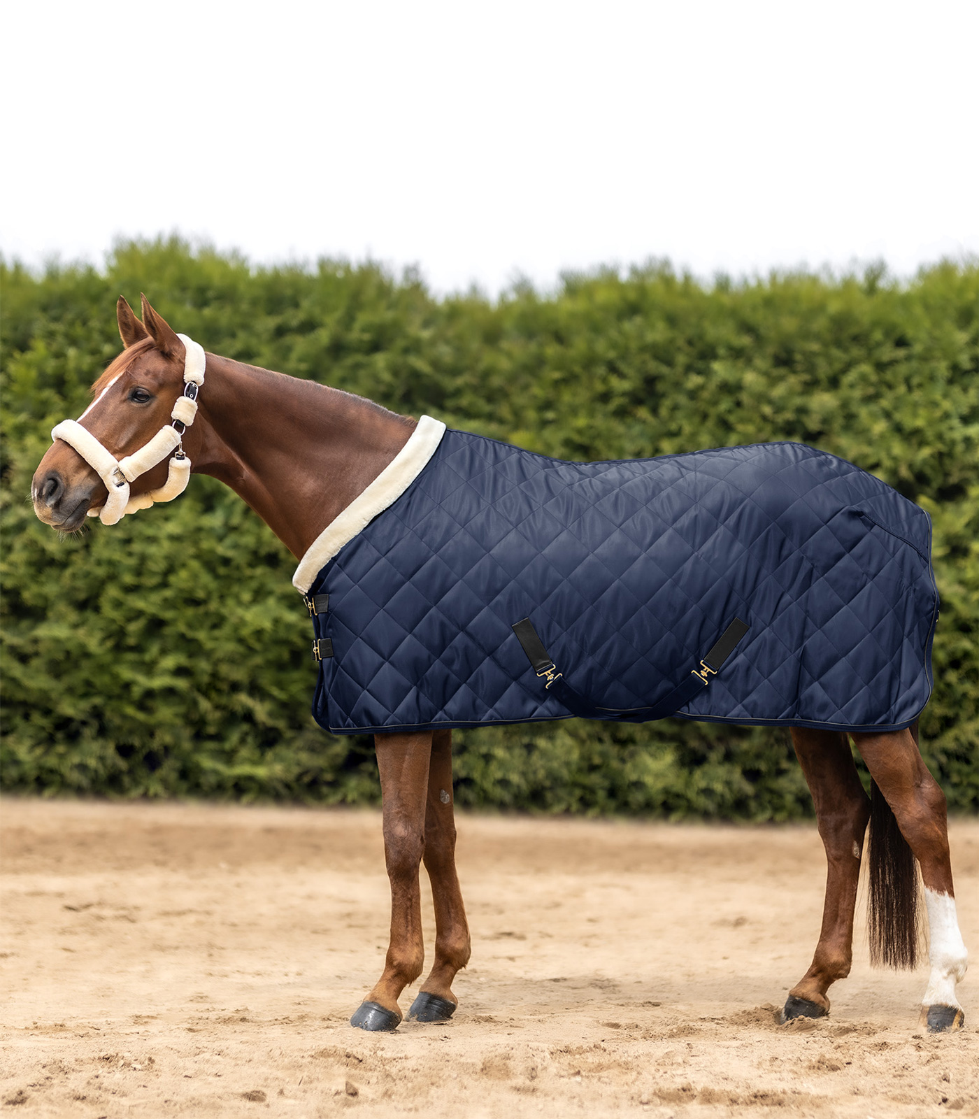Exclusive transport blanket
