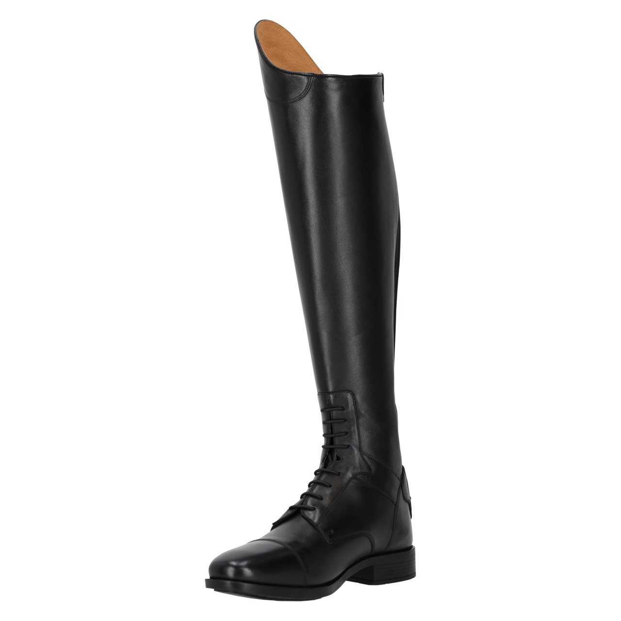 Bottes d'équitation Elyria Adult Normal
