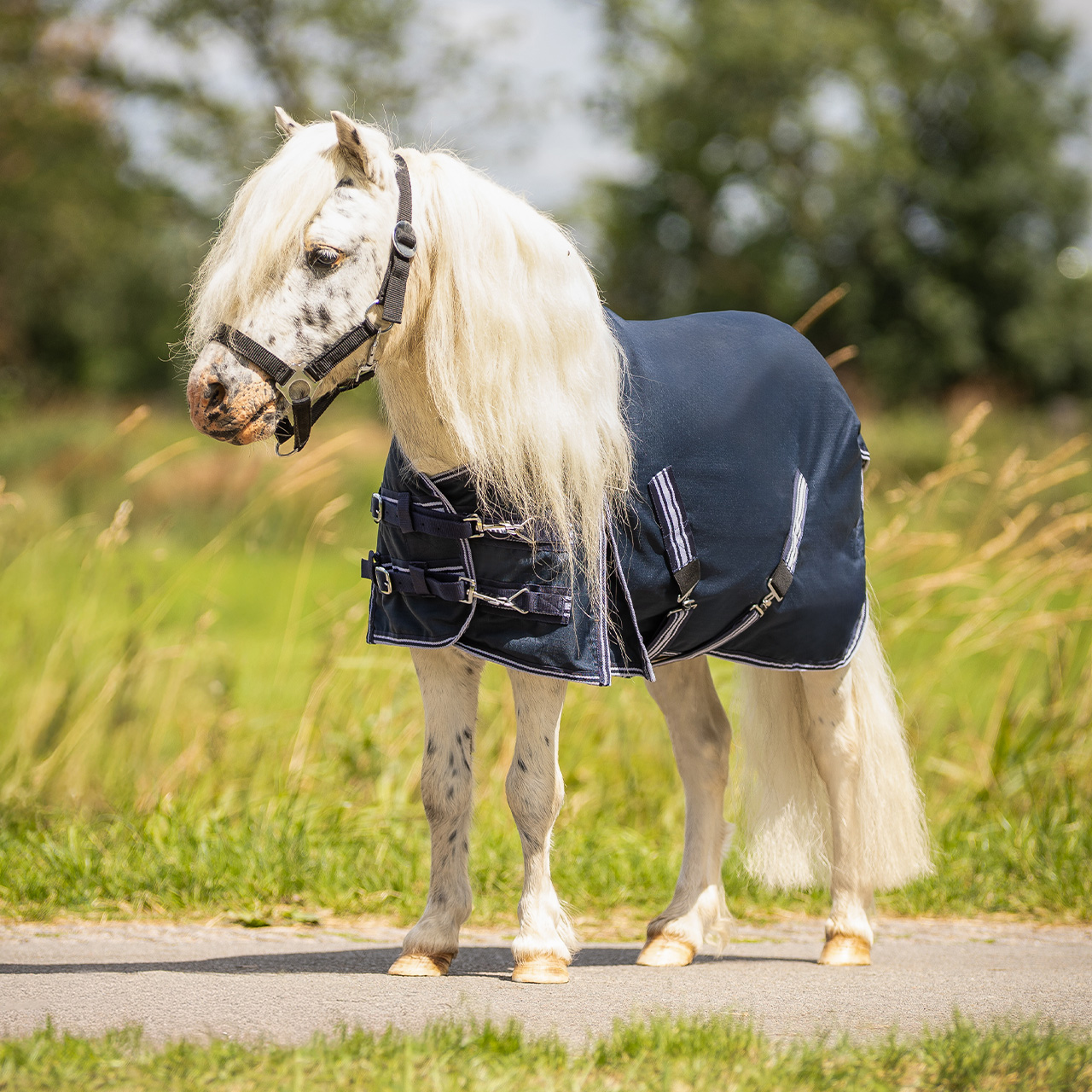 Buitendeken Falabella wissel 200gr