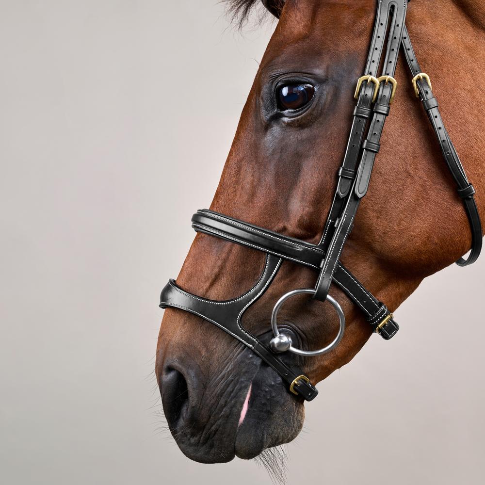 Trense mit Doppelreithalfter DY | Dy'on