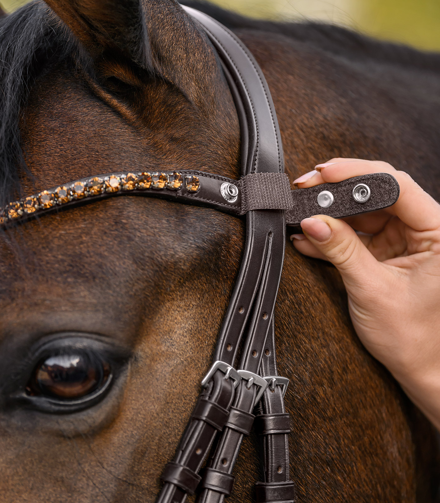 X-Line Browband Shine, brown