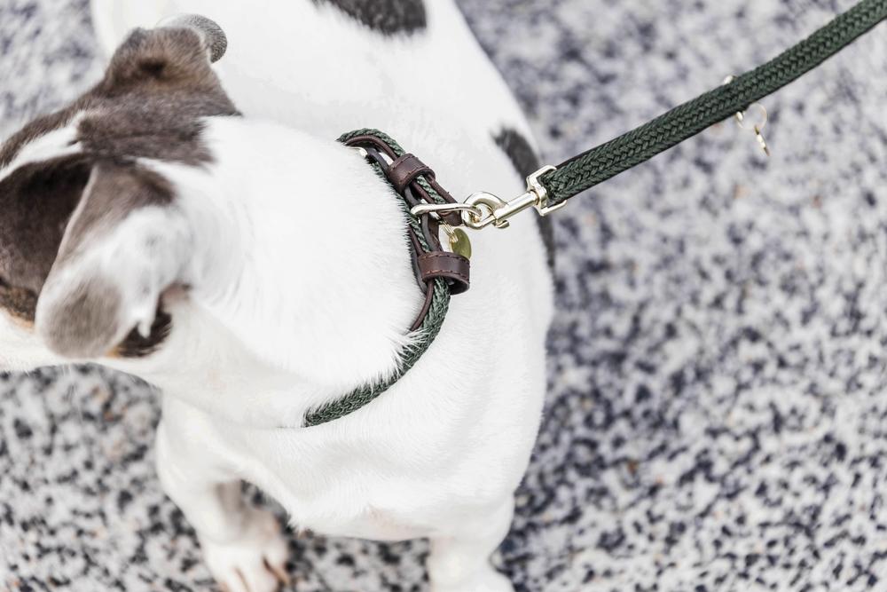 Dog lead Plaited Nylon 200 cm