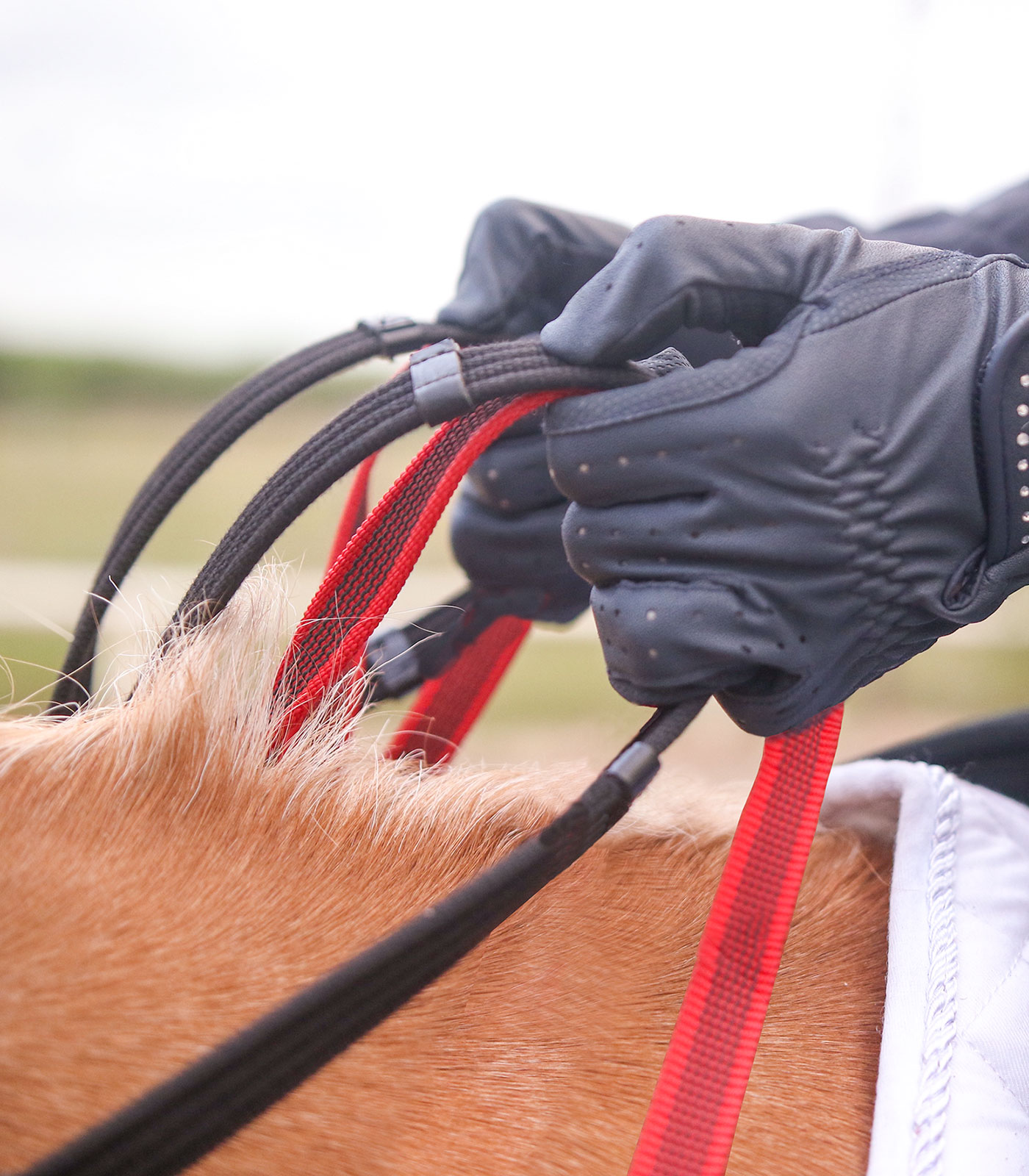 Breastplate with safety reins