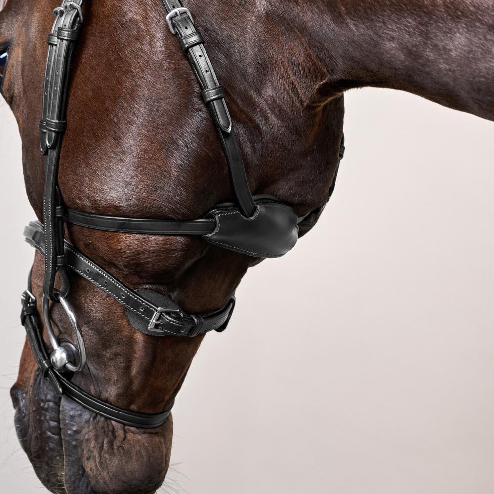 Difference Trense NE