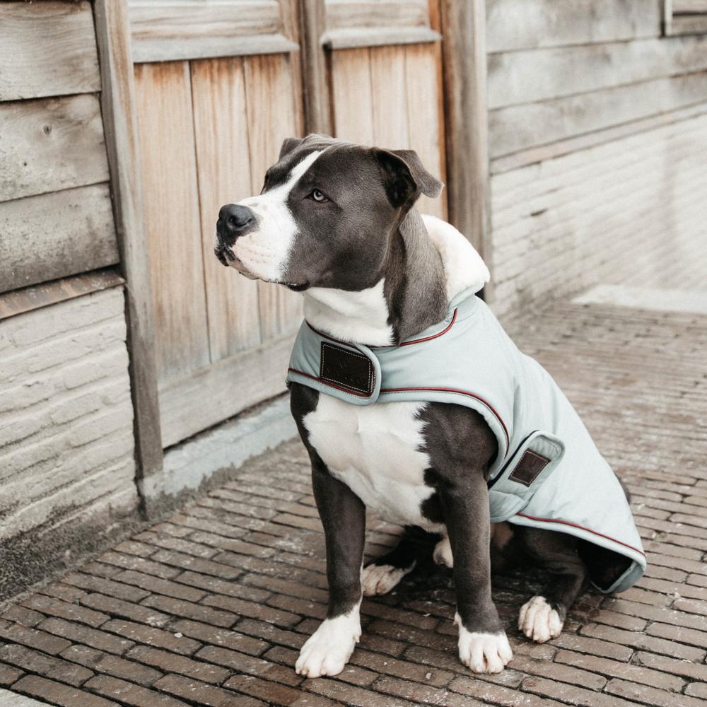 Manteau pour chien imperméable 160g