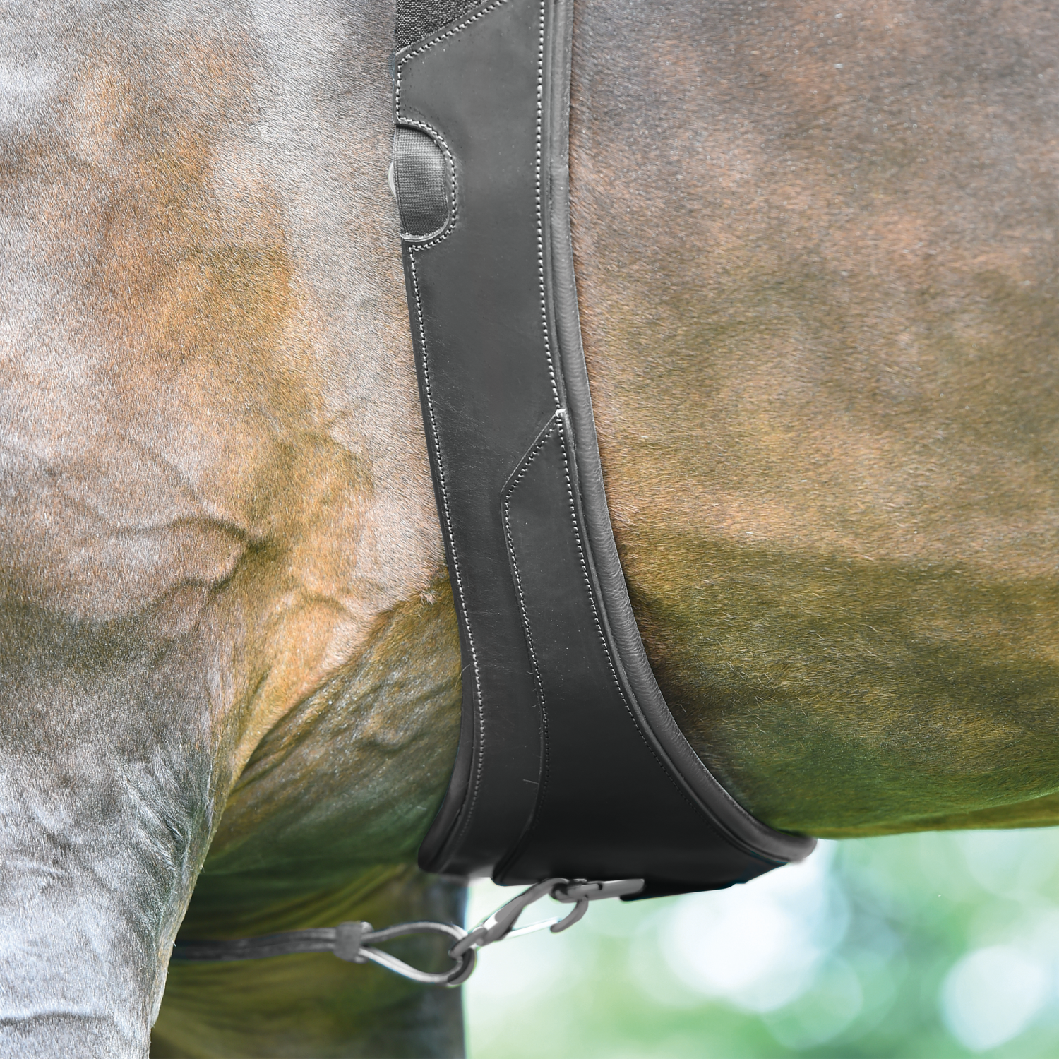 Sattelgurt Livorno Long, elastisch