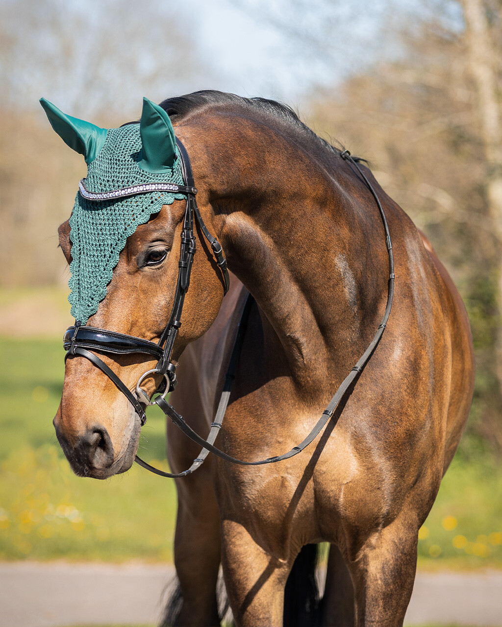 Fly ears Lungo