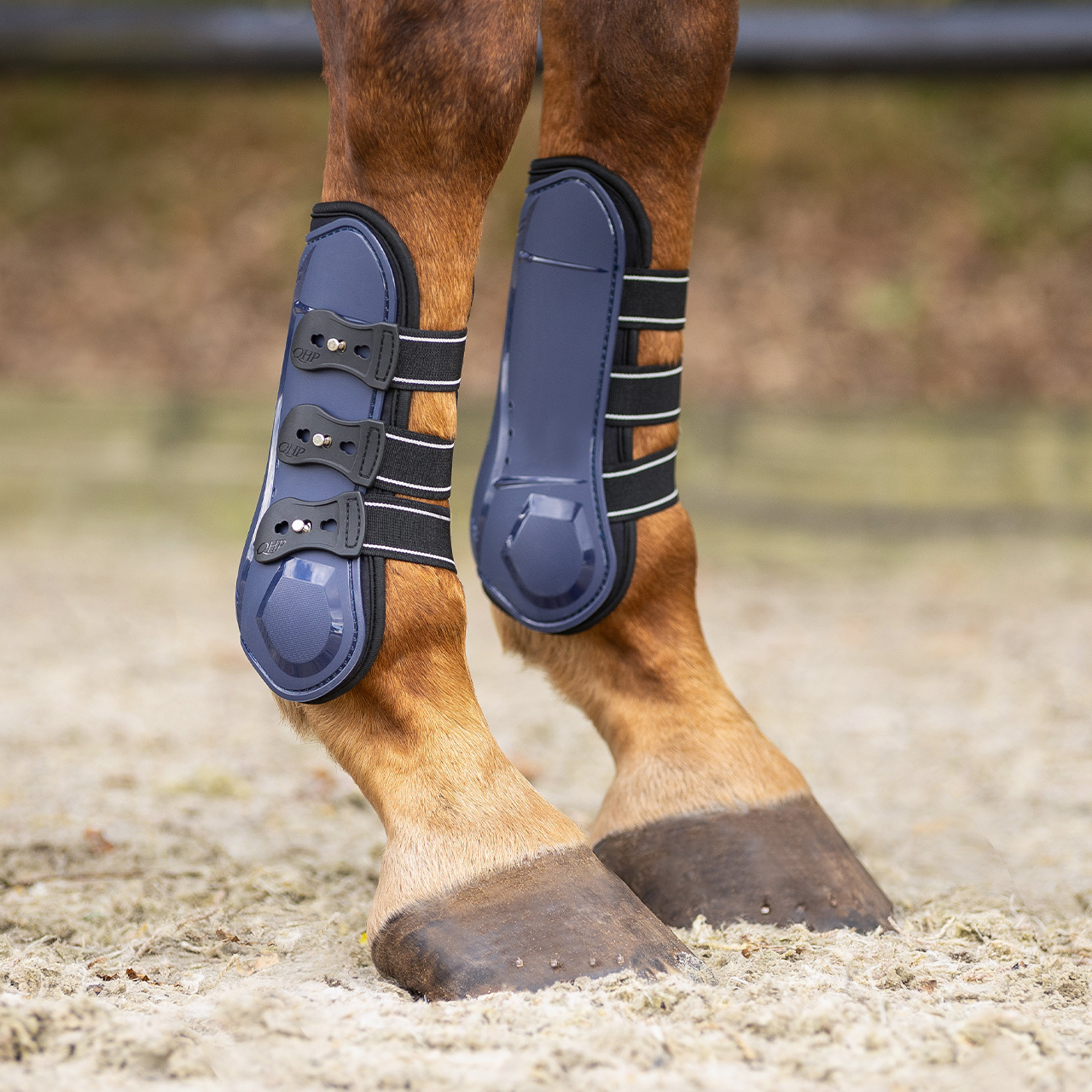 Gaiters Champion