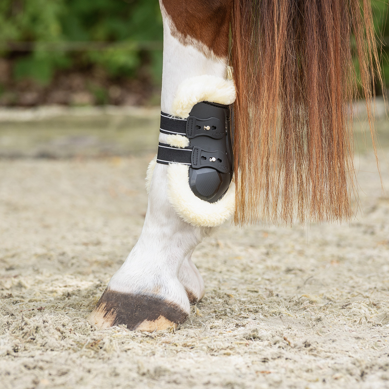 Fetlock boots Ontario