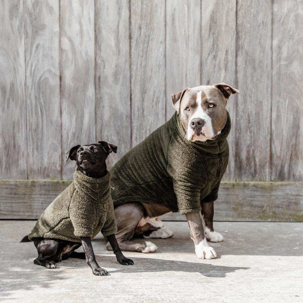 Pullover pour chien Teddy Fleece