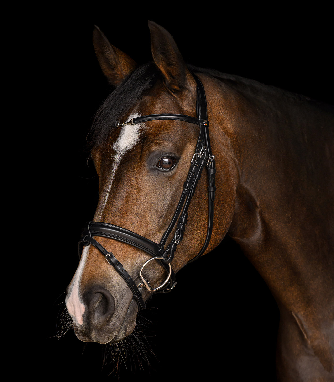 Trensenzaum X-Line Charmbit