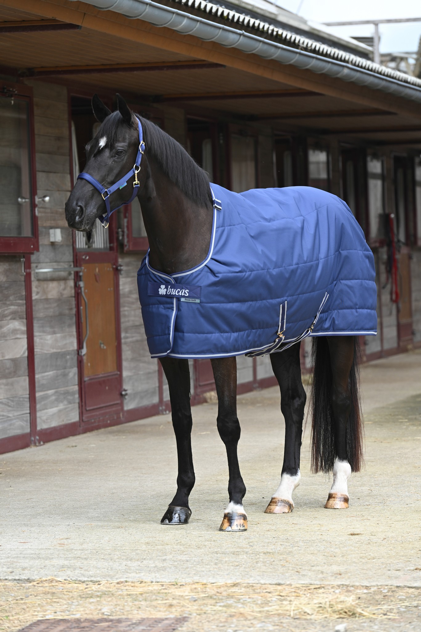 Stalldecke Quilt in Navy