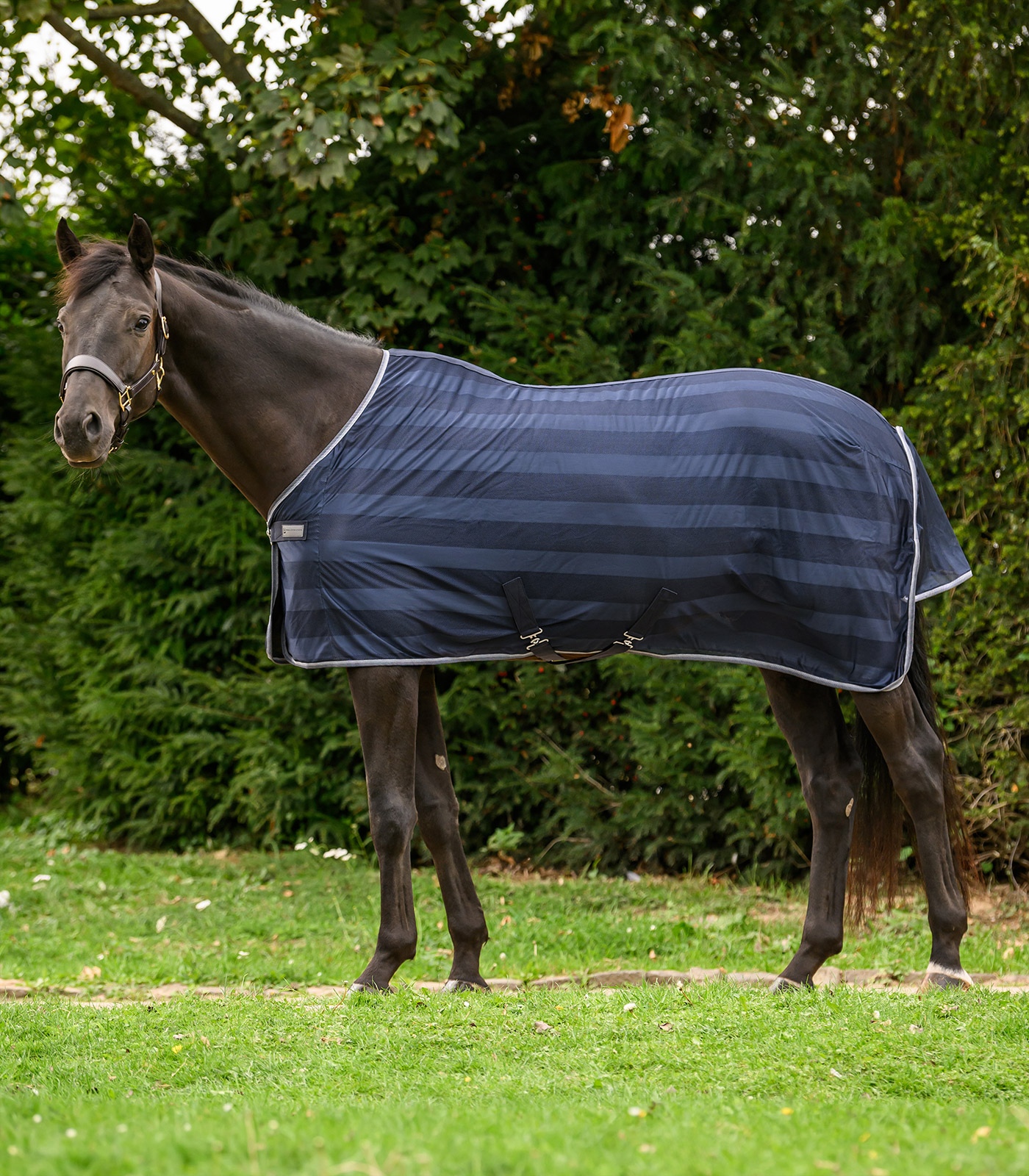 Chemise anti-mouches Economic Kreuzbegurtung