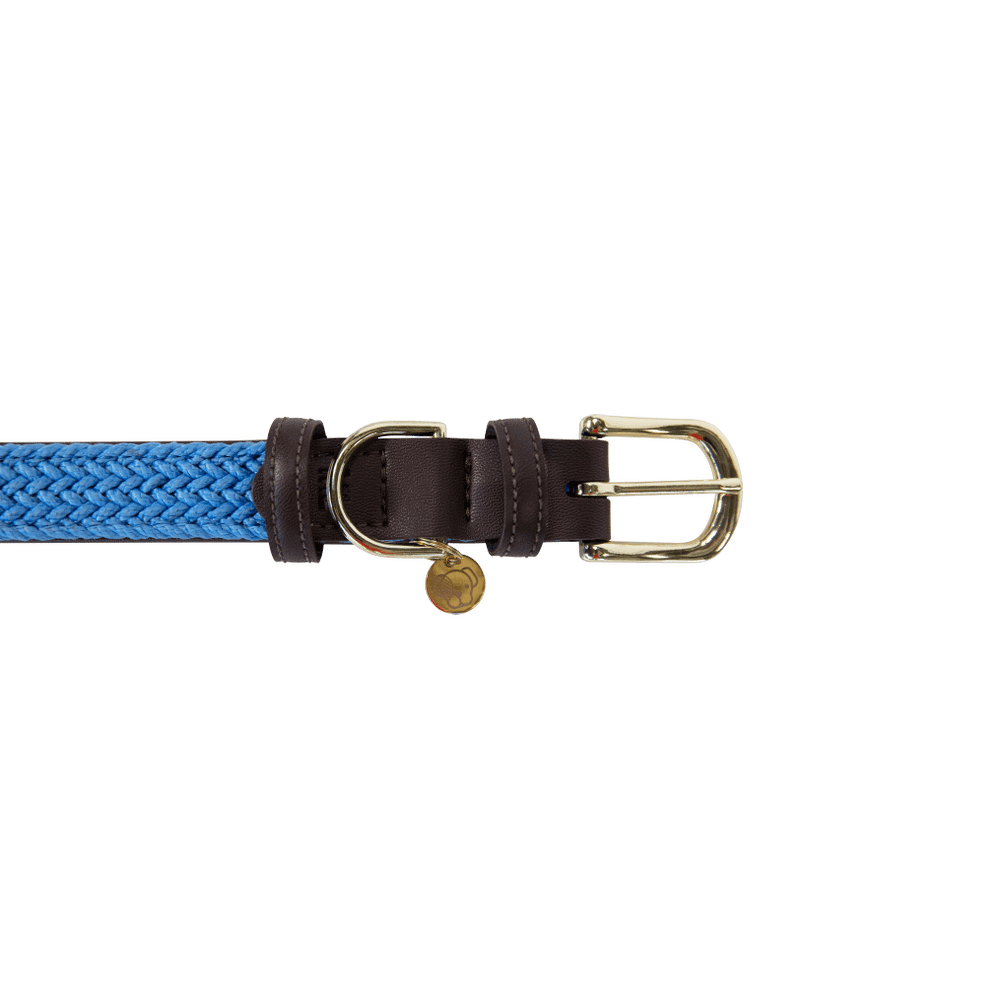 Collier de chien tressé en nylon