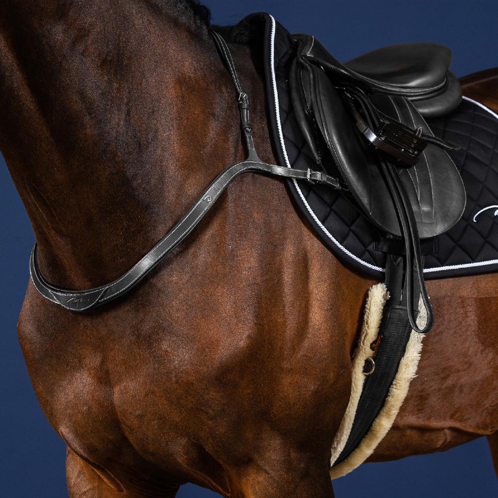 Breastplate