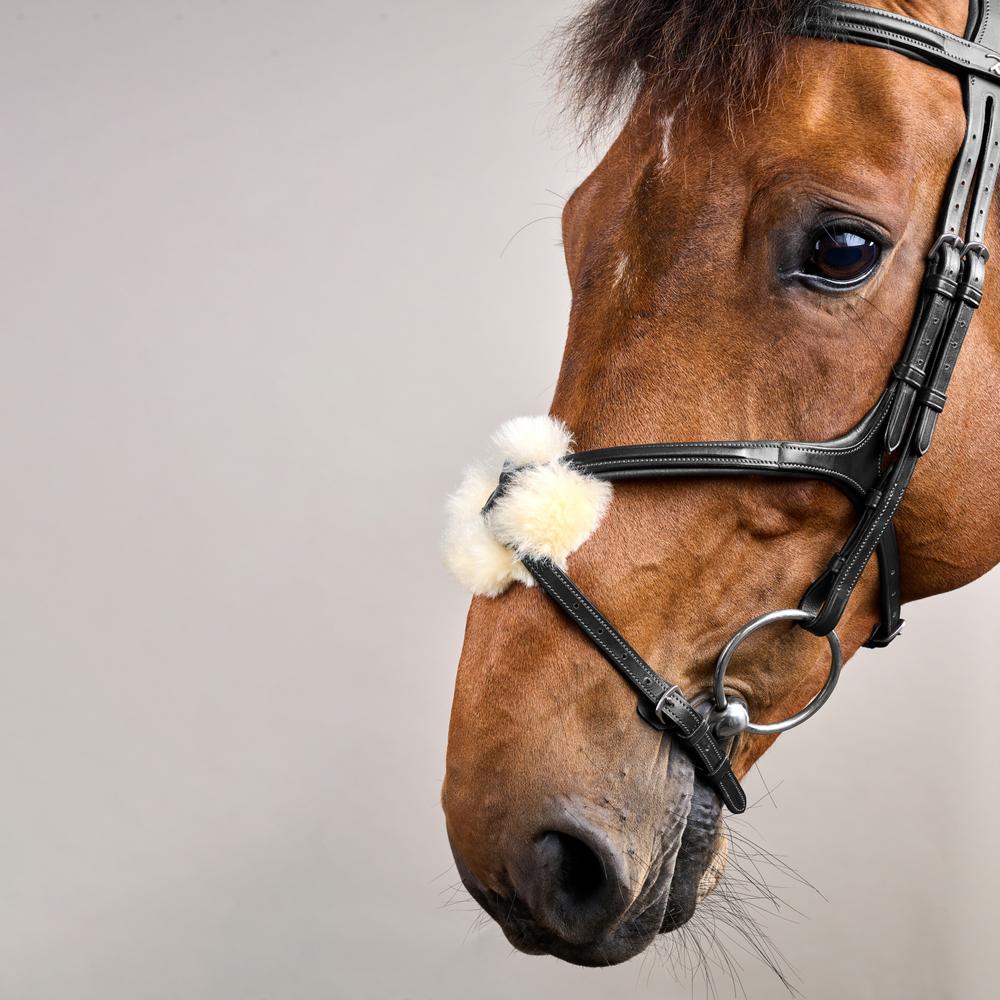 Trense mit mexikanischem Reithalfter NE