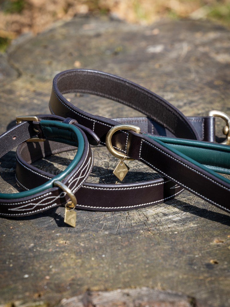 Windsor dog lead