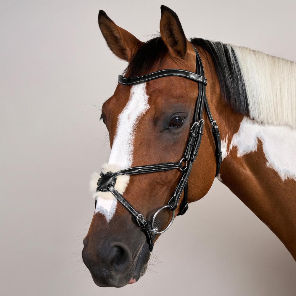 Trense mit mexikanischem Reithalfter WO