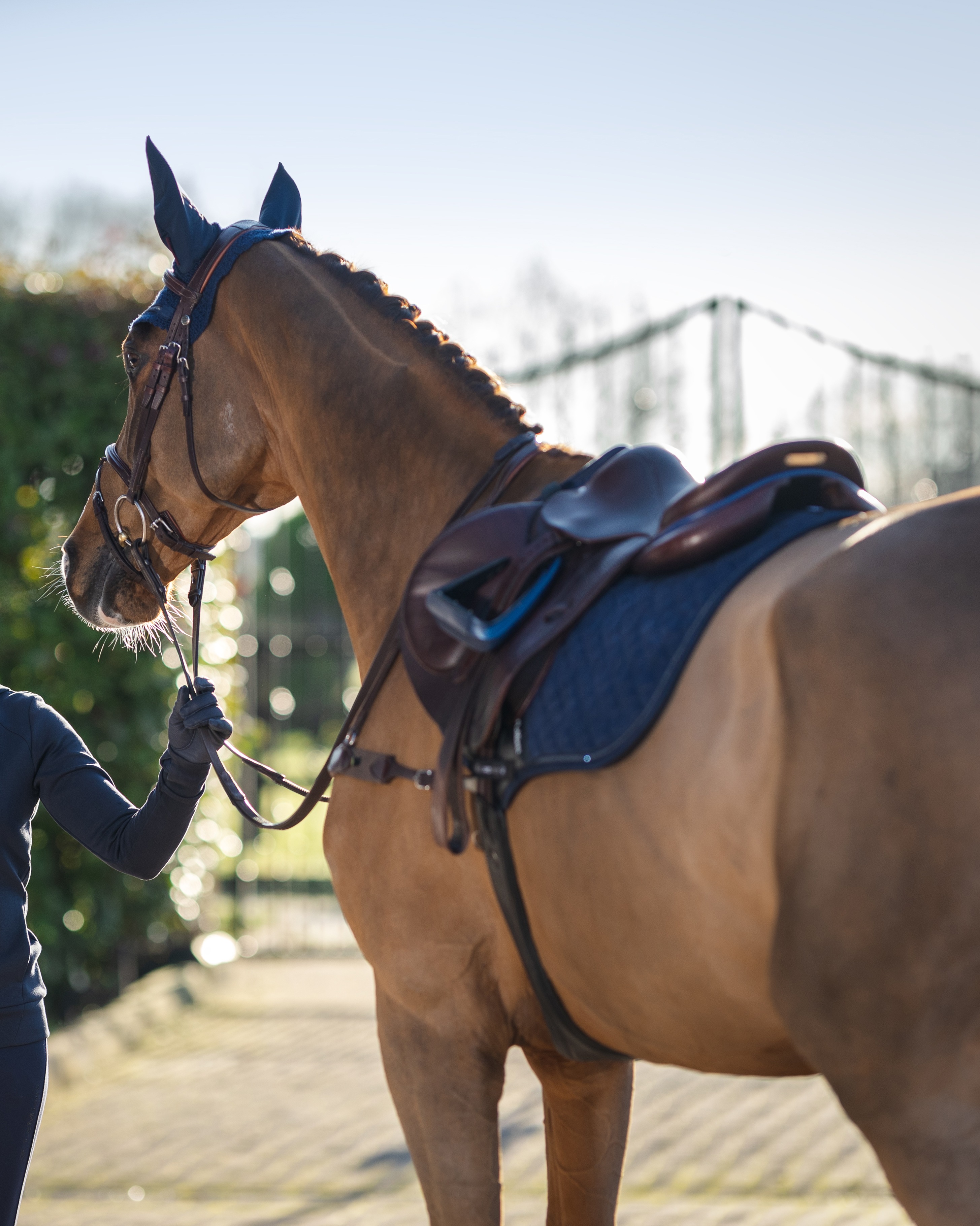 Saddle pad Crystal