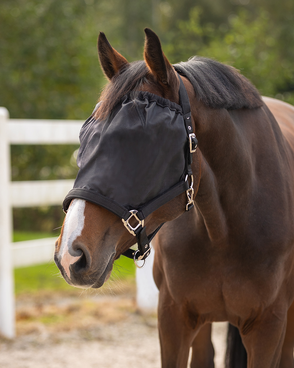 Halter fly mask combi