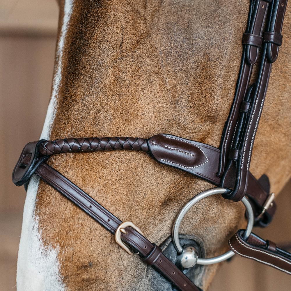 Braided Flash Noseband | Dy'on