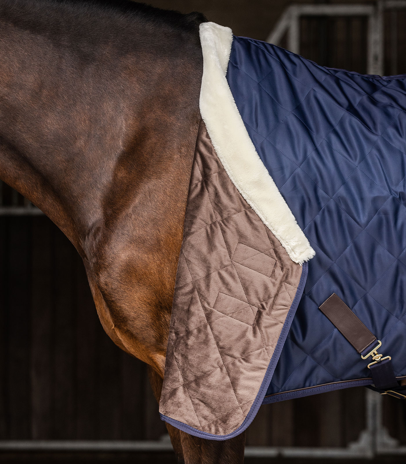 Exclusive transport blanket