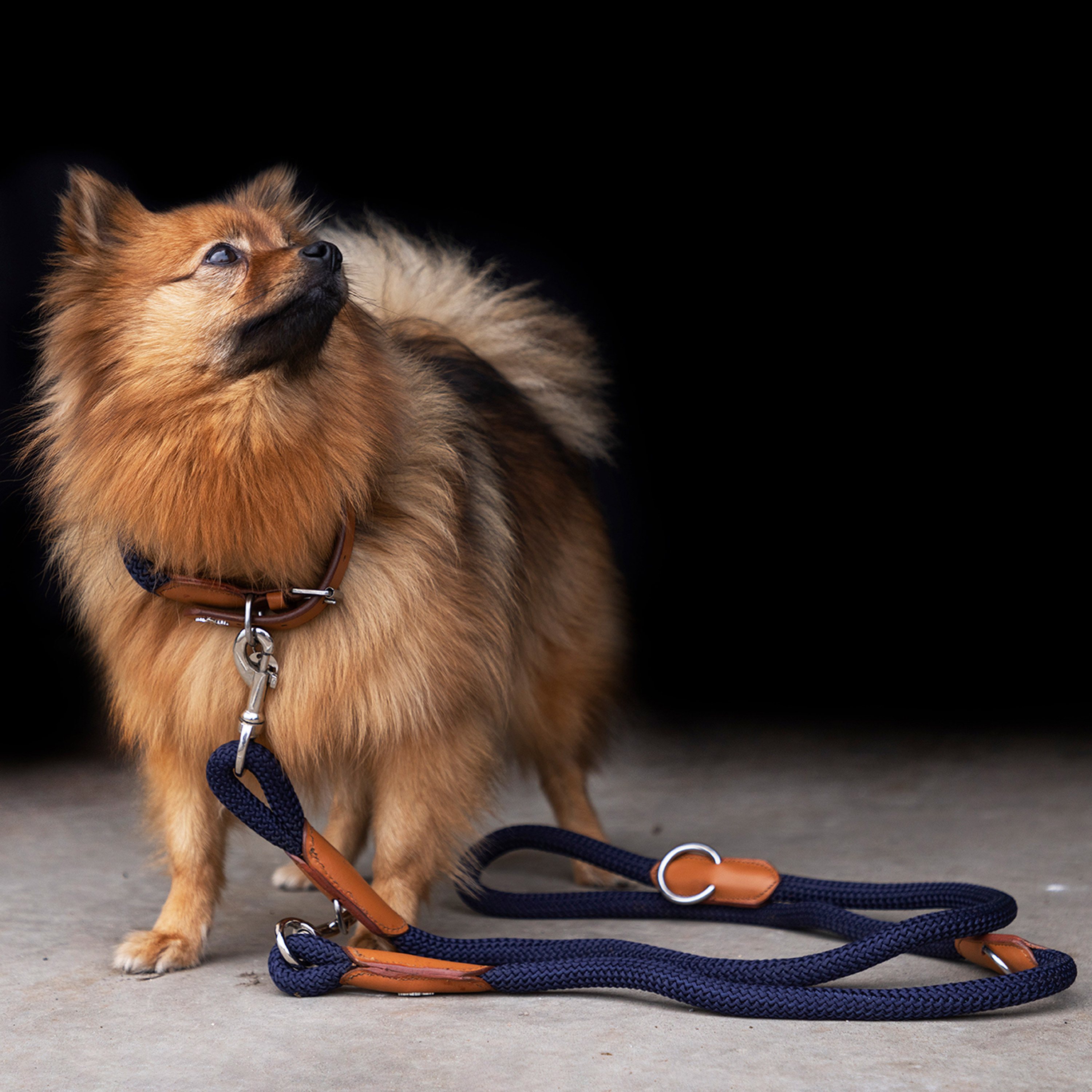 Hundehalsband Franka Rope