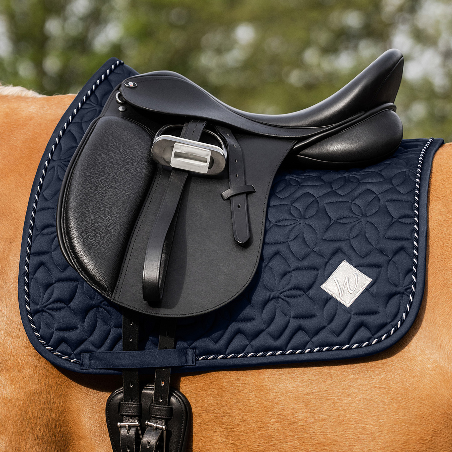 Schabracke Marseille