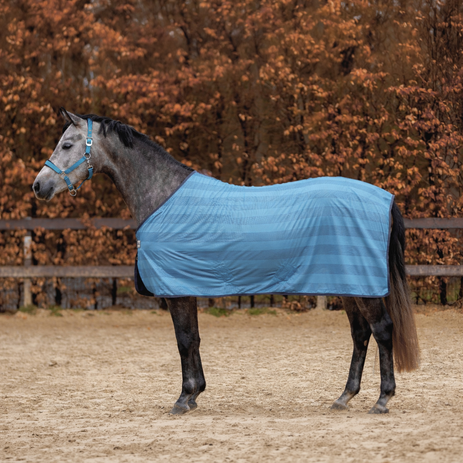 Stripe" fly rug