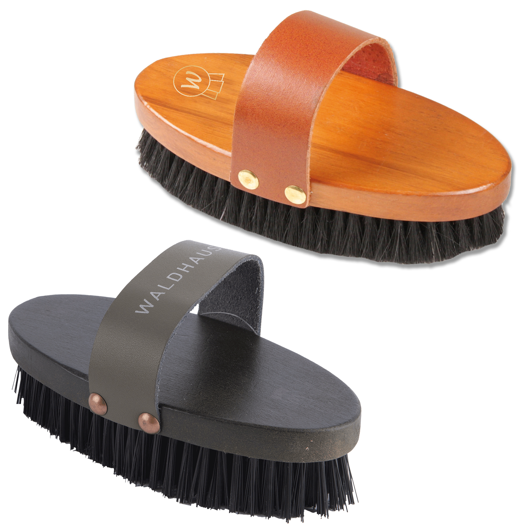 HW Kardätsche 19 cm, harte Borsten 3 cm