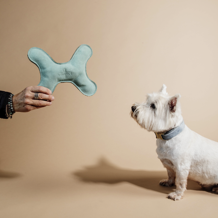 Hundespielzeug Pastell Knochen