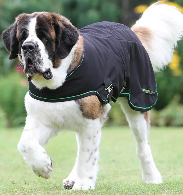 Sportz-Vibe dog blanket in black/green