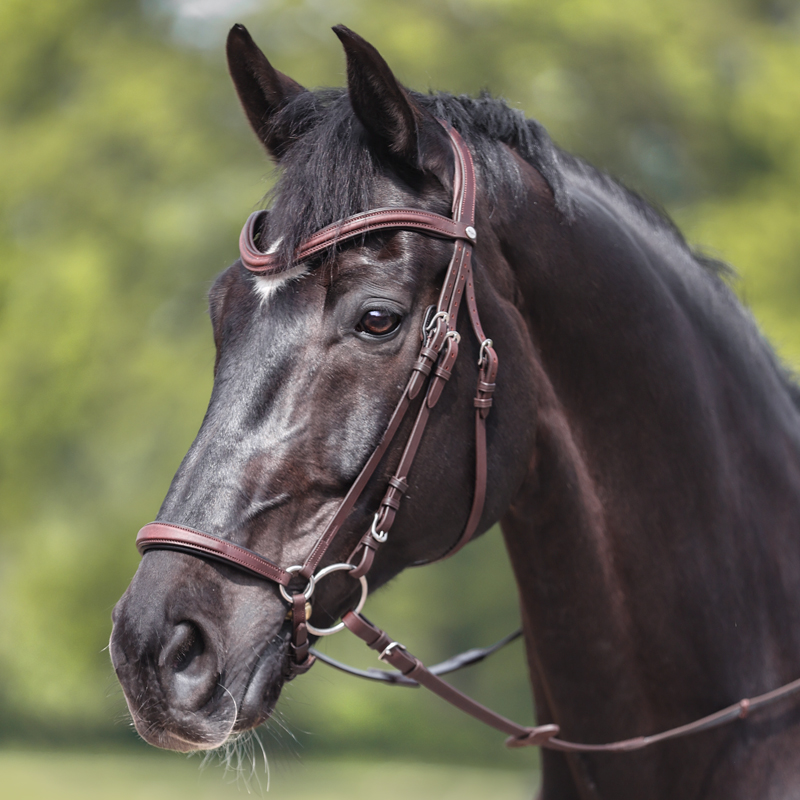 Bridle oiled leather "Everana" hann. Bridle oiled leather "Everana" hann.