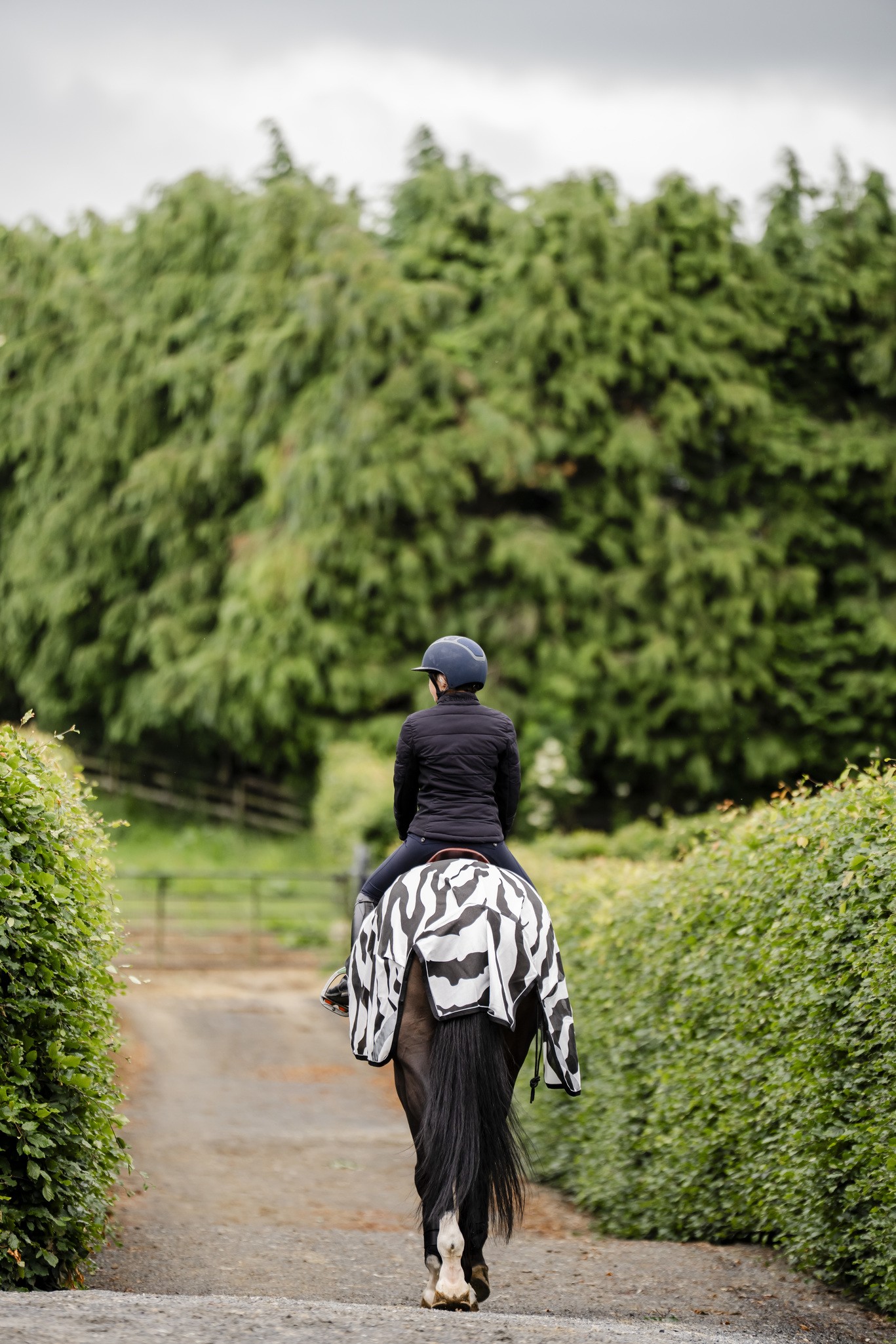 Fliegendecke Buzz-Off Riding in Zebra/Black